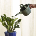 Greenhaus Gardening Indoor Watering Can – Compact 1.5L Watering Vessel