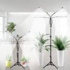 Greenhaus Gardening Full Spectrum Grow Light with Adjustable Tripod Stand