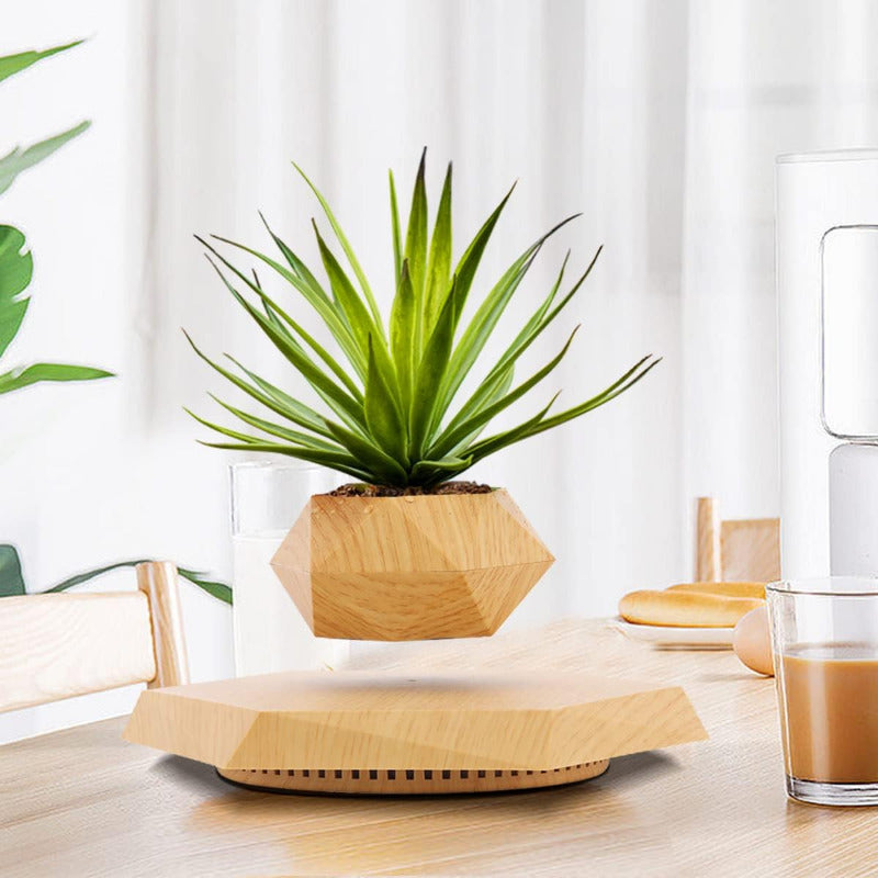 Greenhaus Gardening Floating Plant Pot for Desks, Shelves and Offices