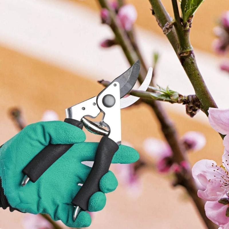 Greenhaus Gardening Gardening Starter Kit, Hand Tools and Tote Bag