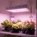 Greenhaus Gardening Full Spectrum Plant Grow Light for Hydroponics & Tents