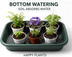 Greenhaus Gardening Extra-Large Heavy-Duty Potting Tray Set for Repotting, Soil Mixing & Bottom Watering – 2 Pack
