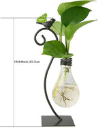 Greenhaus Gardening Wooden Plant Propagation Stand with Glass Bulb Vases