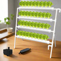 Greenhaus Gardening Indoor Hydroponic Growing System with Circulation Pump