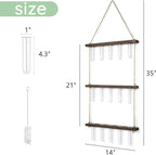 Greenhaus Gardening Wooden Plant Propagation Stand with Glass Bulb Vases