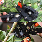 Greenhaus Gardening 2-in-1 Grafting and Pruning Tool Set for Plant Propagation