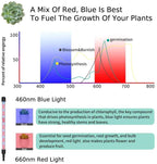 Greenhaus Gardening Clip Grow Light for Indoor Plants with 60 LEDs