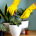 Greenhaus Gardening Reusable Rubber Cleaning Gloves, 4 Pairs with Non-Slip Grip
