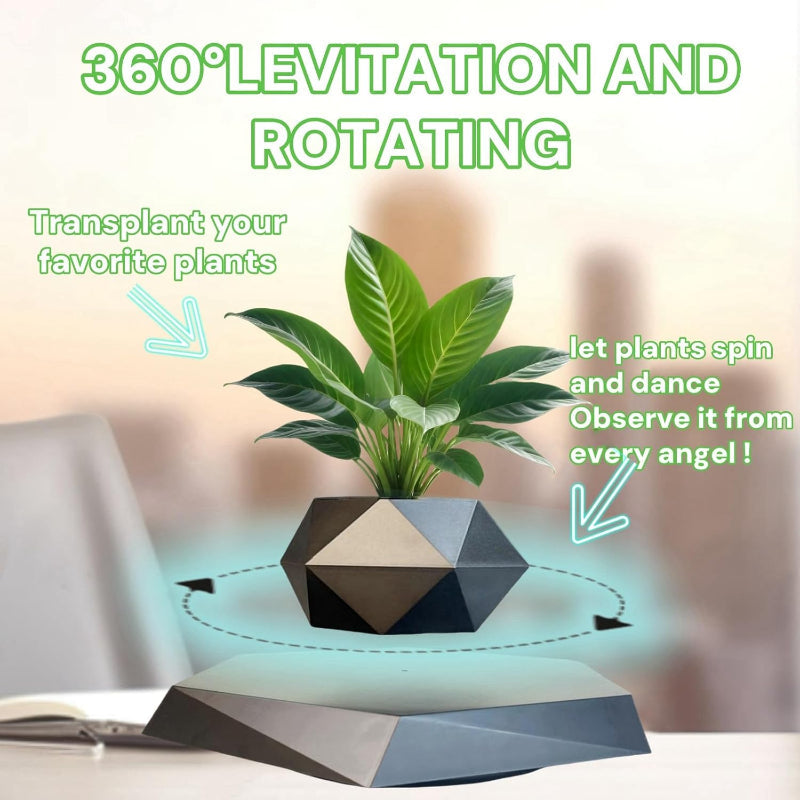 Greenhaus Gardening Floating Plant Pot for Desks, Shelves and Offices