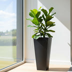 Greenhaus Gardening UV-Resistant Outdoor Plant Pots 2-Pack