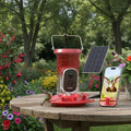 Greenhaus Gardening Outdoor Smart Bird Feeder with Solar Power and App Control