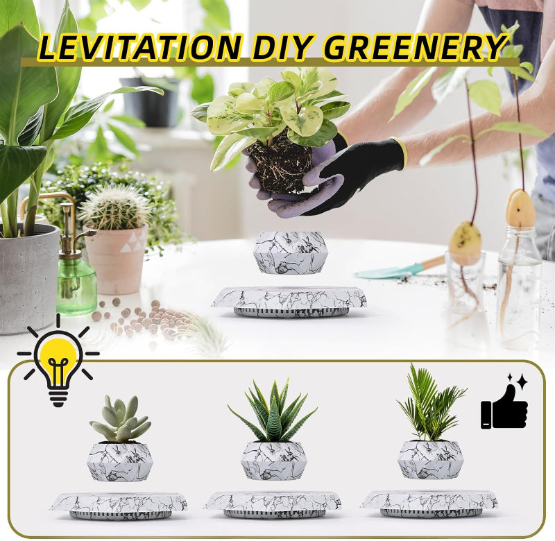 Greenhaus Gardening Floating Plant Pot for Desks, Shelves and Offices