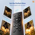 Greenhaus Gardening Outdoor LED String Lights for Garden and Backyard