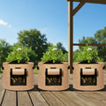 Greenhaus Gardening Reusable Potato Planter Bags with Side Access Window