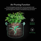 Greenhaus Gardening Reinforced Fabric Grow Bags for Vegetables and Flowers