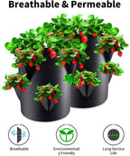 Greenhaus Gardening Strawberry Grow Bags with 8 Side Planting Pockets