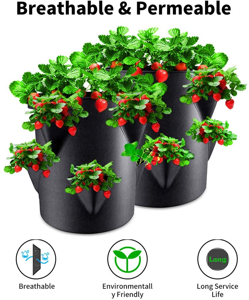 Greenhaus Gardening Strawberry Grow Bags with 8 Side Planting Pockets