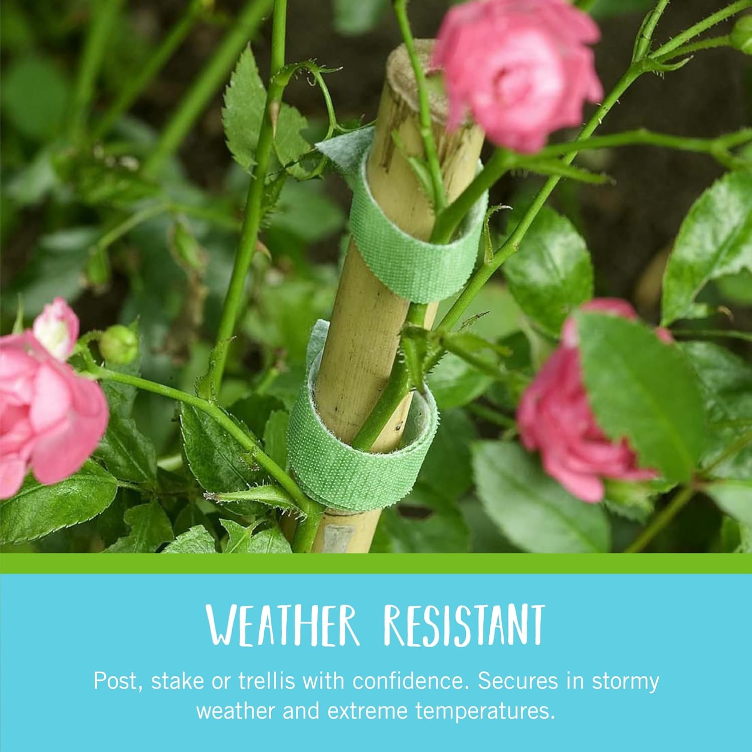 Greenhaus Gardening Adjustable Hook & Loop Plant Support Tape for Climbing Plants