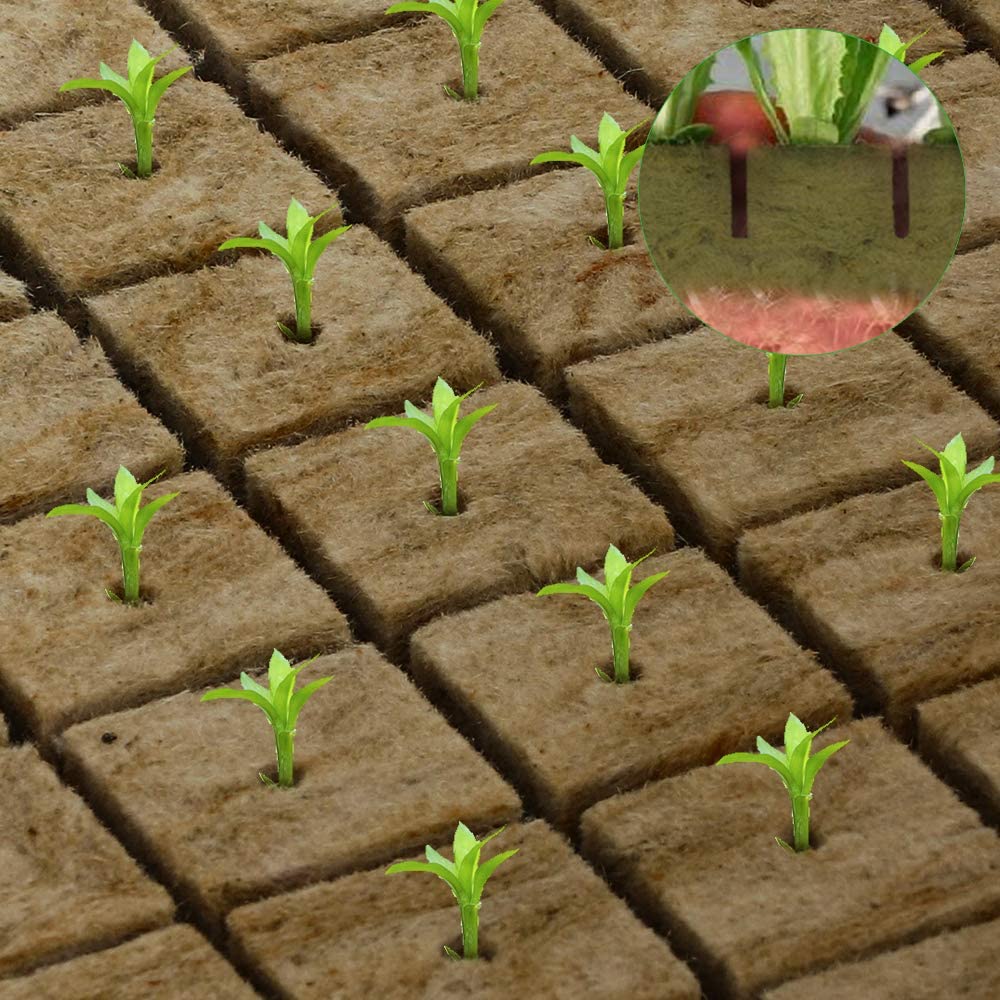 Greenhaus Gardening Rockwool Plant Starter Cubes for Propagation