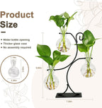 Greenhaus Gardening Wooden Plant Propagation Stand with Glass Bulb Vases