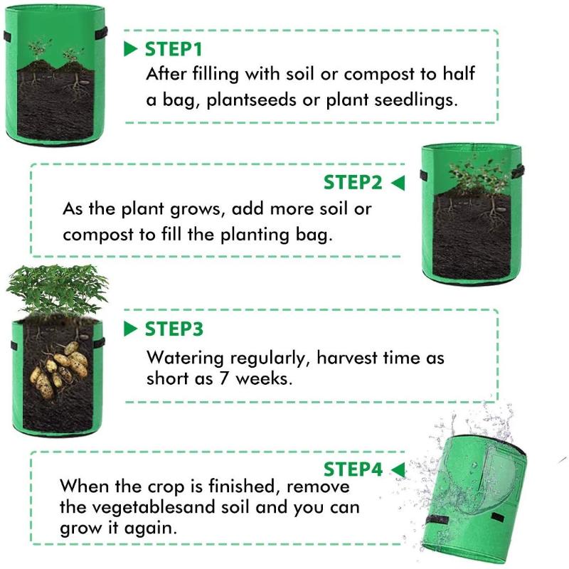 Greenhaus Gardening Foldable Green Garden Bags for Indoor and Outdoor Planting