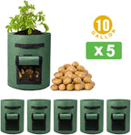 Greenhaus Gardening Green Vegetable Planter Bags with Breathable Fabric