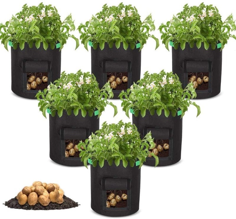 Greenhaus Gardening Foldable Garden Grow Bags for Vegetables and Storage