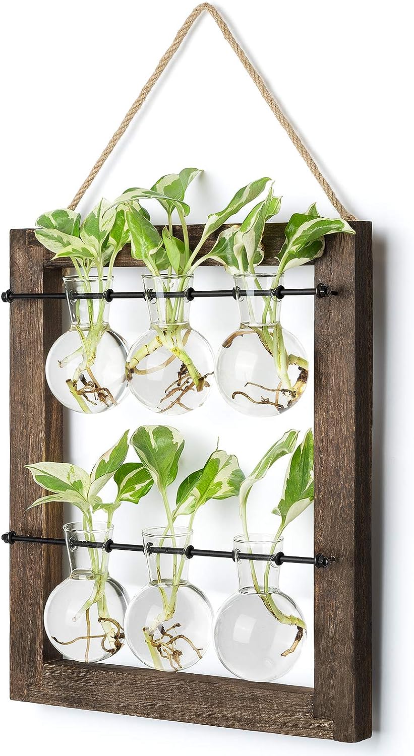 Greenhaus Gardening Wooden Plant Propagation Stand with Glass Bulb Vases