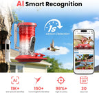 GreenHaus Gardening Intelligent Hummingbird Feeder with Live Camera Monitoring