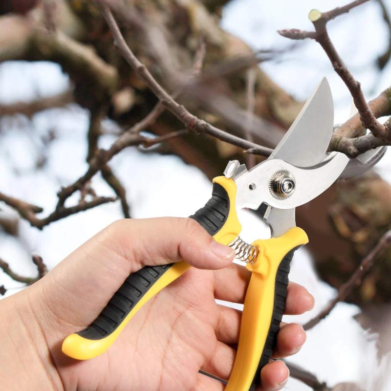 Greenhaus Gardening Garden Tools Set with Scissors, Pruners and Gloves