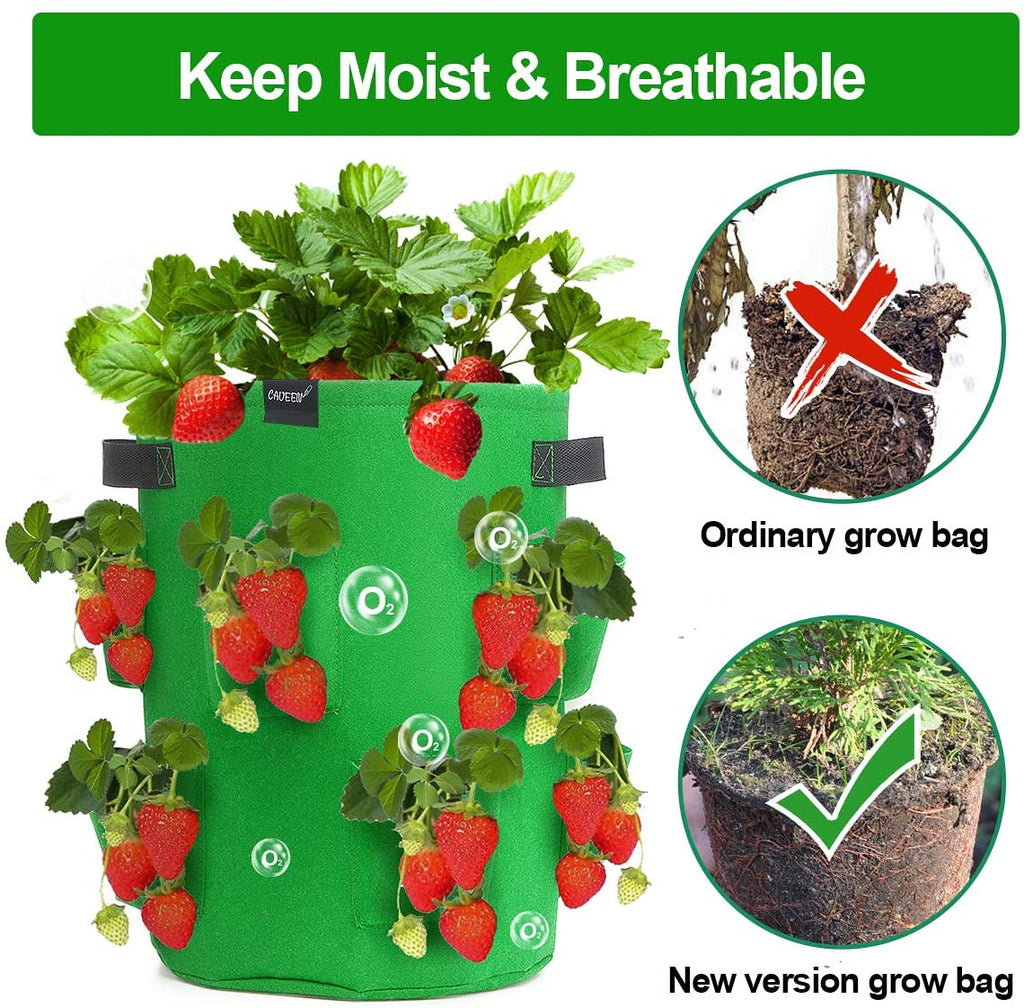 Greenhaus Gardening Strawberry Grow Bags with 8 Side Planting Pockets