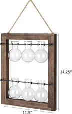 Greenhaus Gardening Wooden Plant Propagation Stand with Glass Bulb Vases