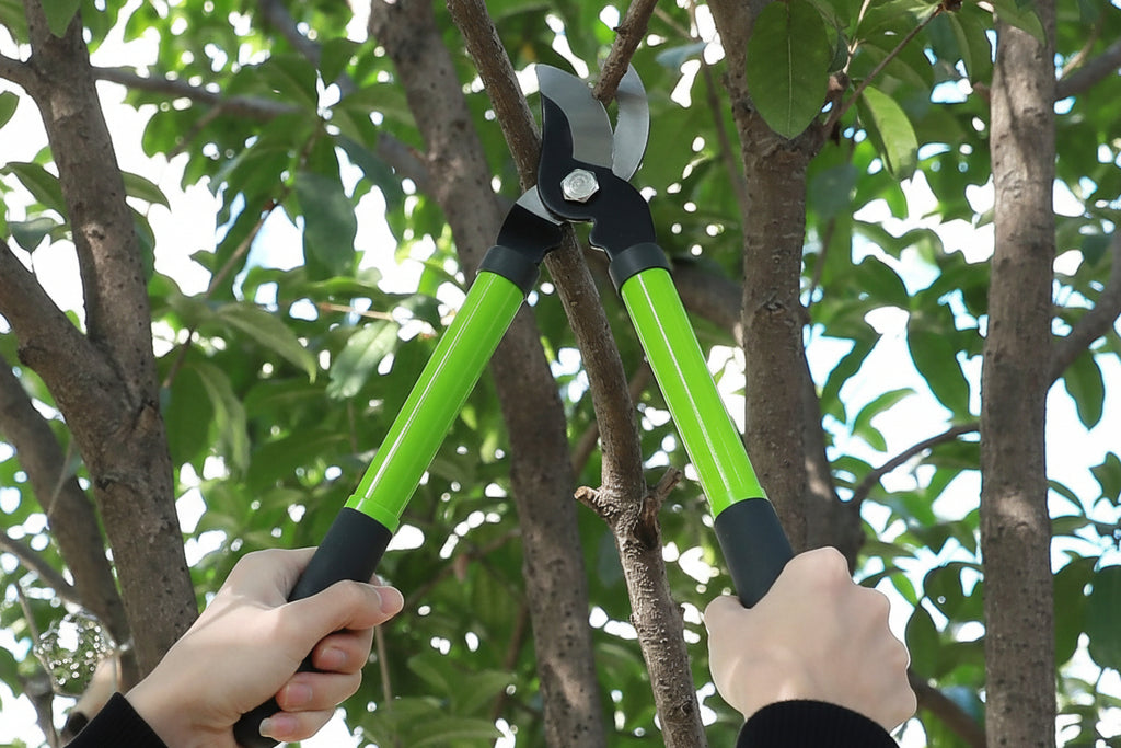 Greenhaus Gardening 2-Piece Bypass Pruner & Lopper Set with Heat-Treated Steel Blades