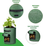 Greenhaus Gardening Green Vegetable Planter Bags with Breathable Fabric