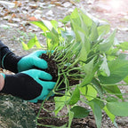 Greenhaus Gardening Gardening Gloves with ABS Plastic Claws
