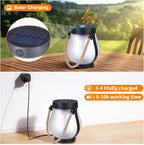 Greenhaus Gardening IP65 Waterproof Solar Flame Lights 2-Pack