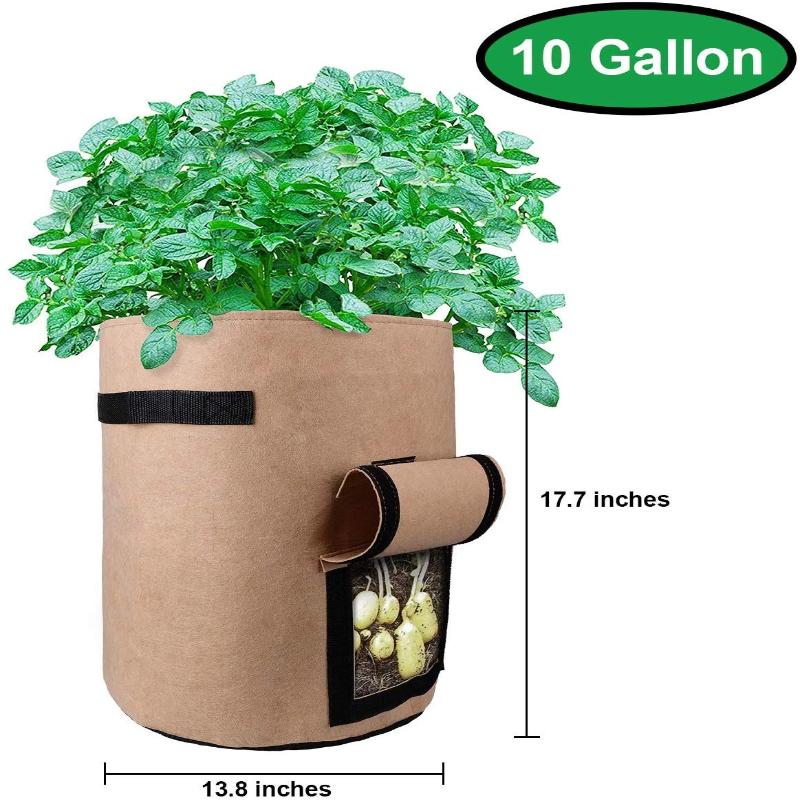 Greenhaus Gardening 4-Pack 10 Gallon Fabric Vegetable Grow Bags