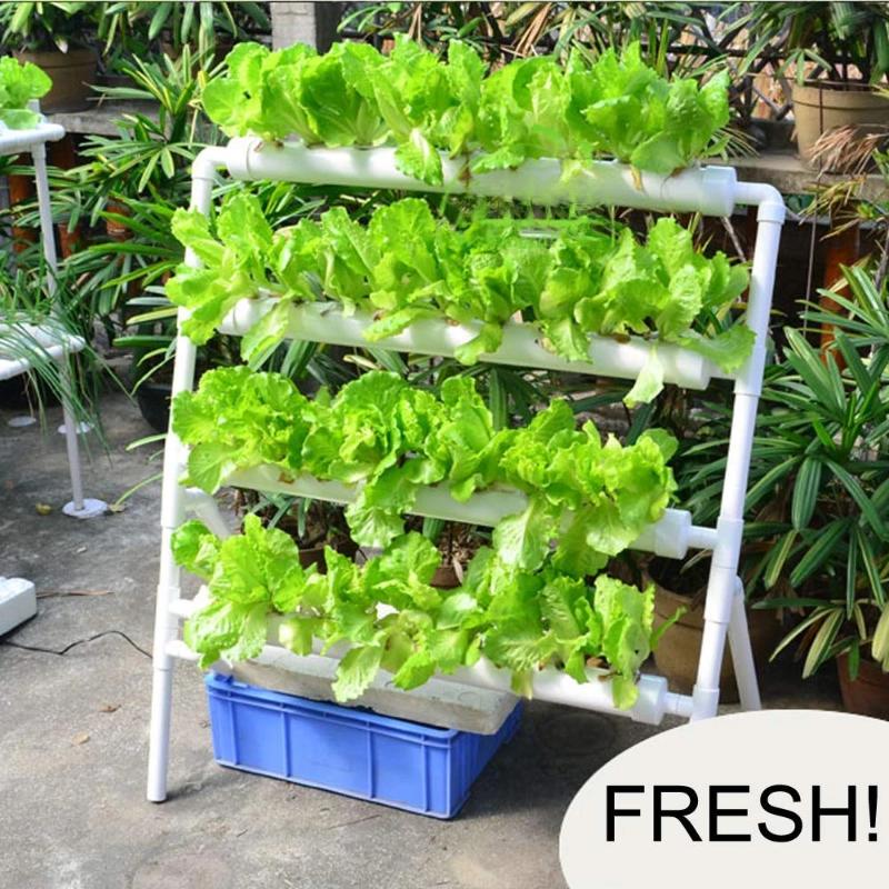 Greenhaus Gardening Indoor Hydroponic Growing System with Circulation Pump