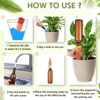 Greenhaus Gardening Terracotta Plant Watering Spikes with 25oz Bottles