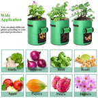 Greenhaus Gardening Foldable Green Garden Bags for Indoor and Outdoor Planting