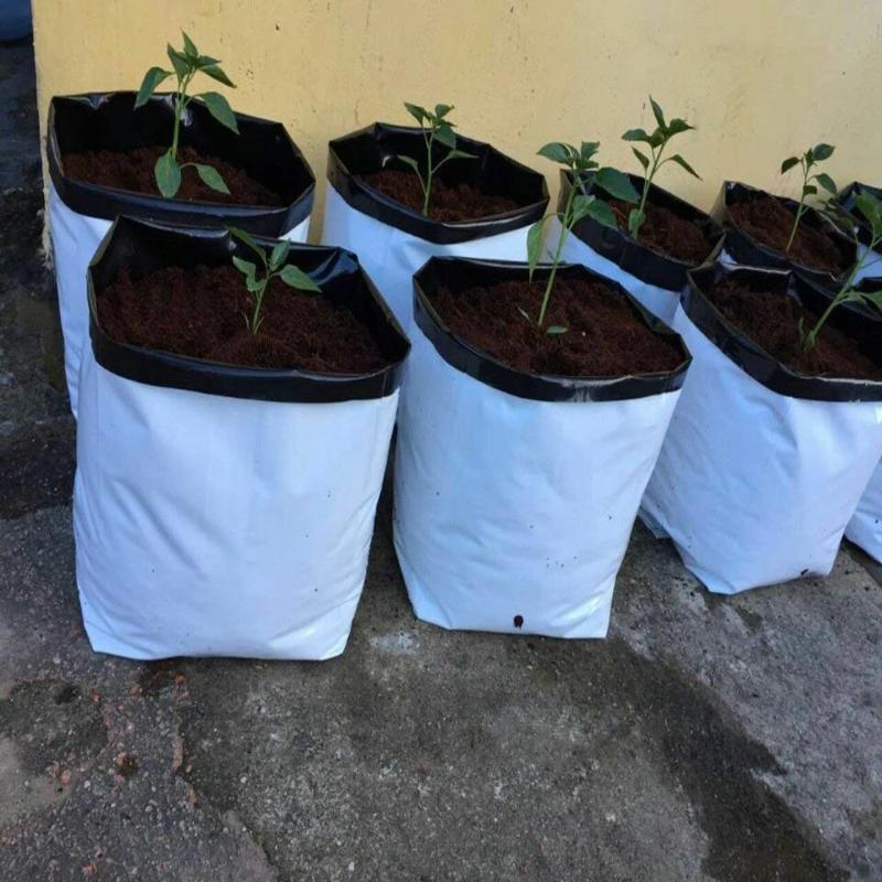 Greenhaus Gardening Nursery Grow Bags for Seedlings and Plant Transfers