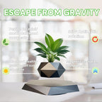 Greenhaus Gardening Floating Plant Pot for Desks, Shelves and Offices