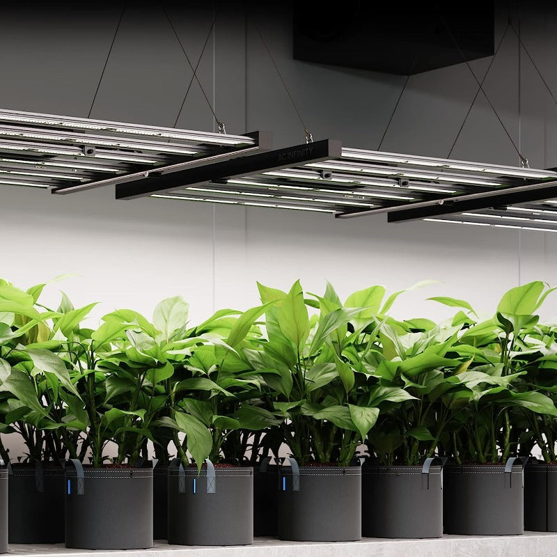 Greenhaus Gardening Bar Grow Light with Smart Scheduling Controller