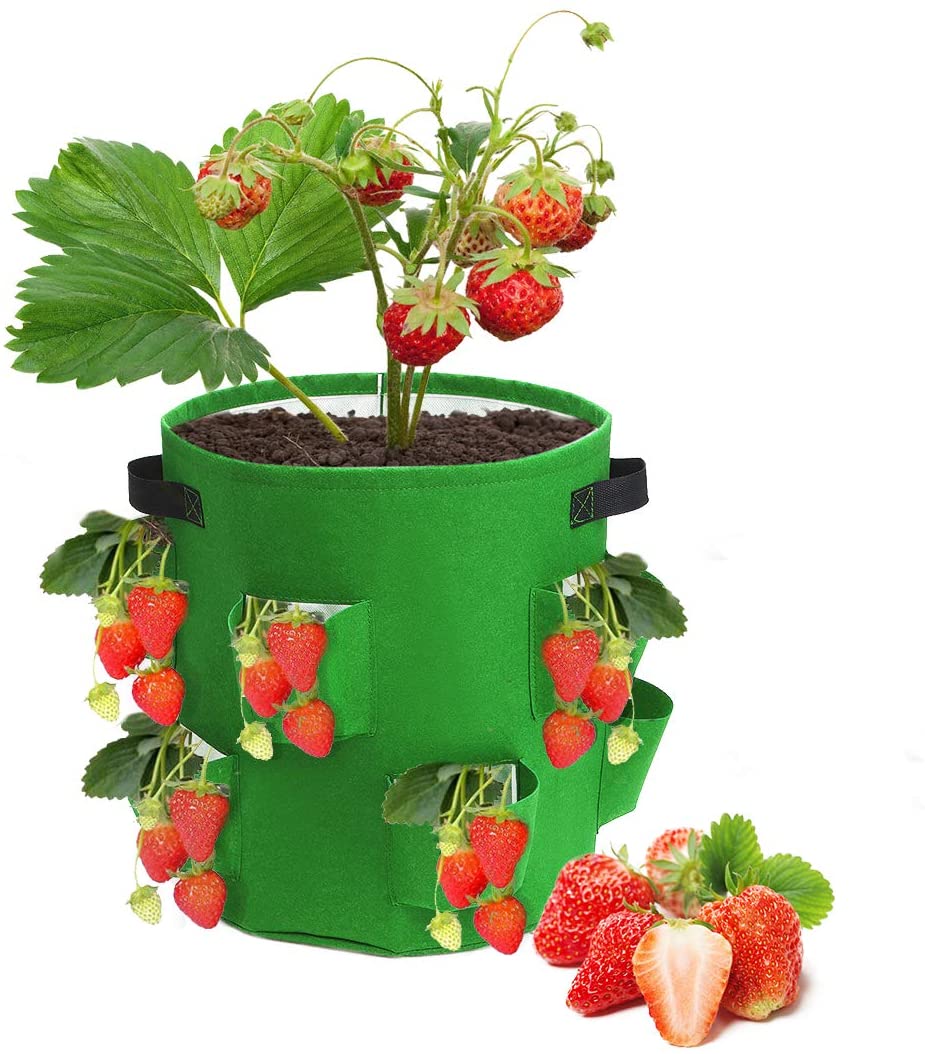 Greenhaus Gardening Strawberry Grow Bags with 8 Side Planting Pockets