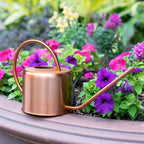 Greenhaus Gardening Decorative Metal Watering Can for Indoor Plants and Gardens