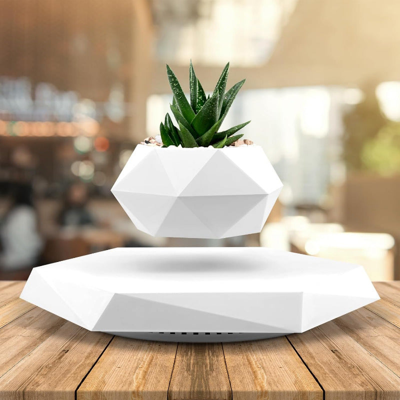 Greenhaus Gardening Floating Magnetic Planter with 360° Rotation