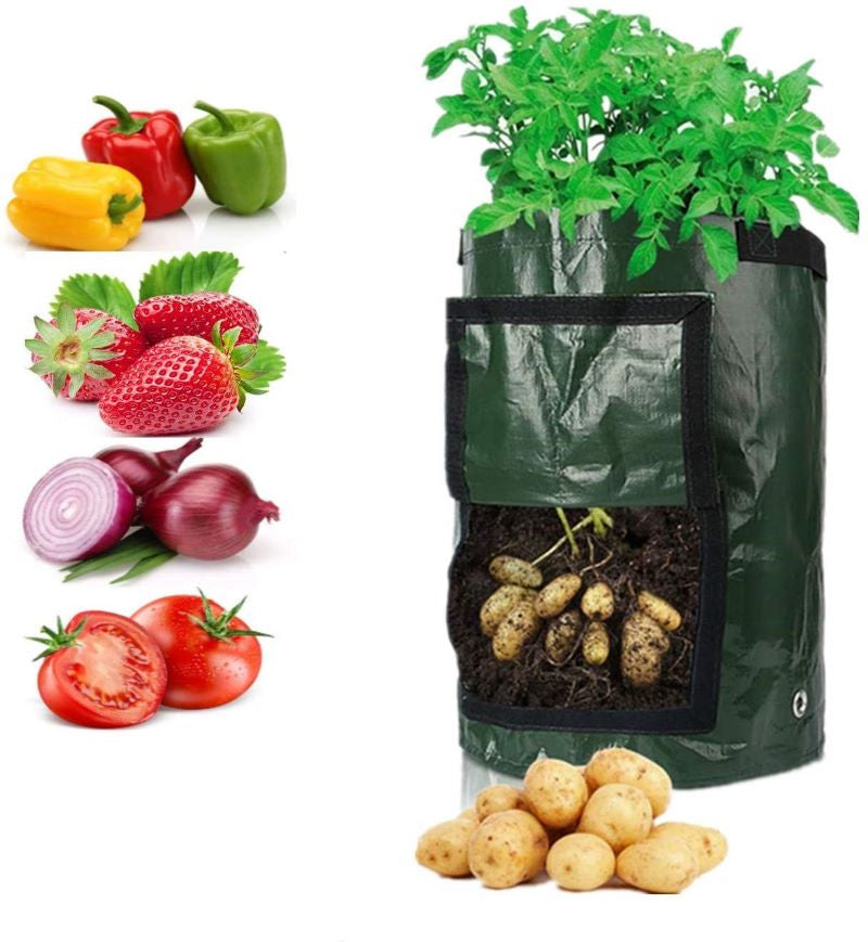 Greenhaus Gardening Vegetable Planting Bags with Easy Access Harvest Flap