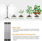Greenhaus Gardening Full Spectrum Grow Light with Adjustable Tripod Stand