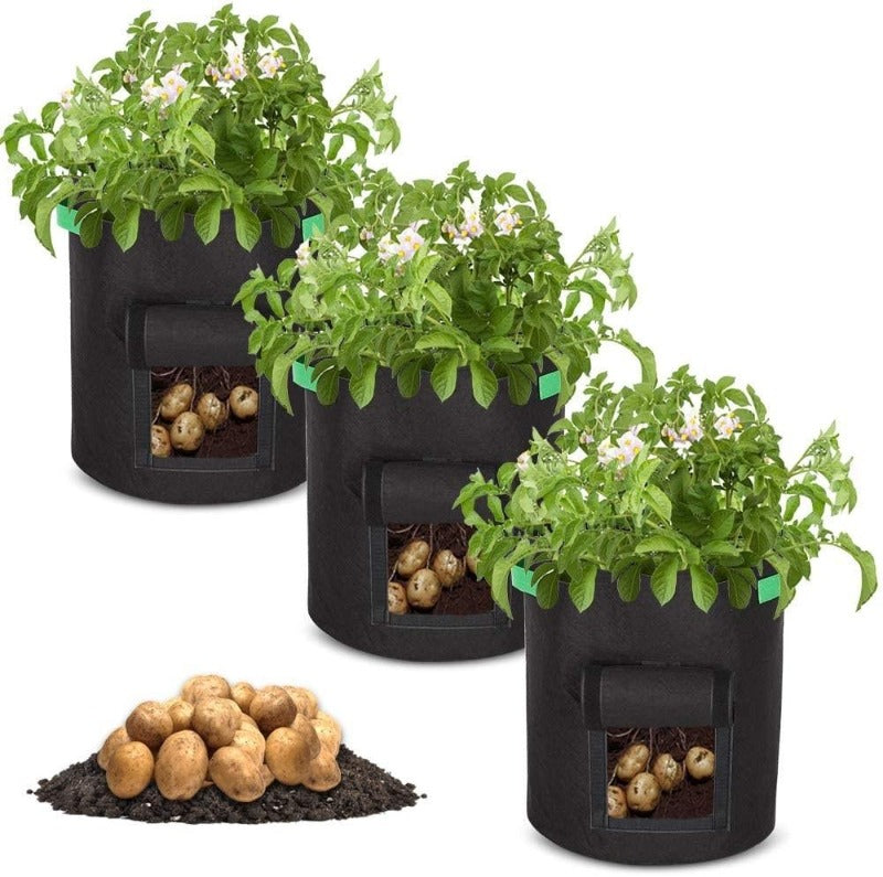 Greenhaus Gardening Foldable Garden Grow Bags for Vegetables and Storage