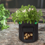 Greenhaus Gardening Foldable Garden Grow Bags for Vegetables and Storage